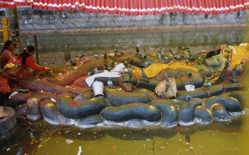 Вишну, покоящийся на Шеше в пруду Будханилкхантха